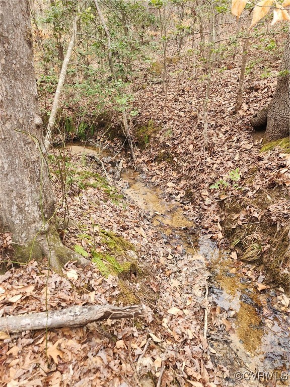 0 Atkinson Road Mineral, VA 23117 - Photo 11 of 17 a view of a space with a tree