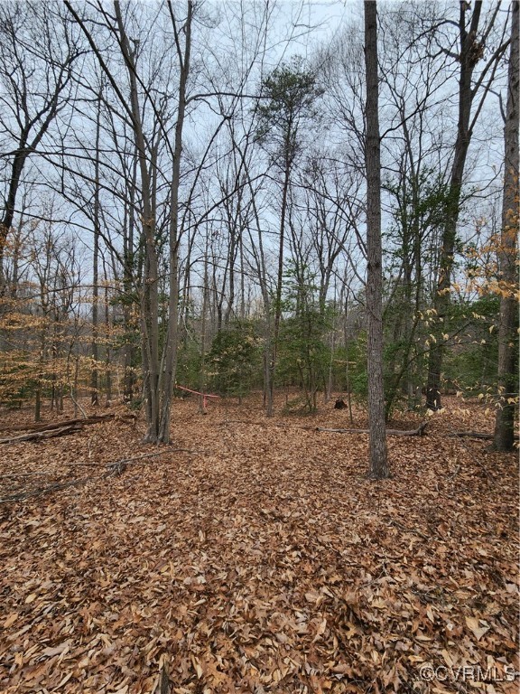 0 Atkinson Road Mineral, VA 23117 - Photo 14 of 17 a backyard of a house with lots of green space