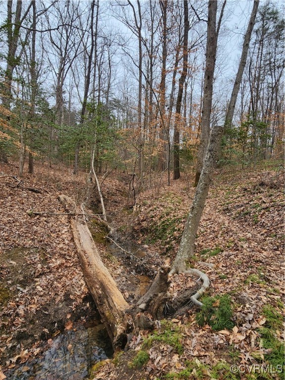 0 Atkinson Road Mineral, VA 23117 - Photo 15 of 17 a backyard of a house with lots of green space