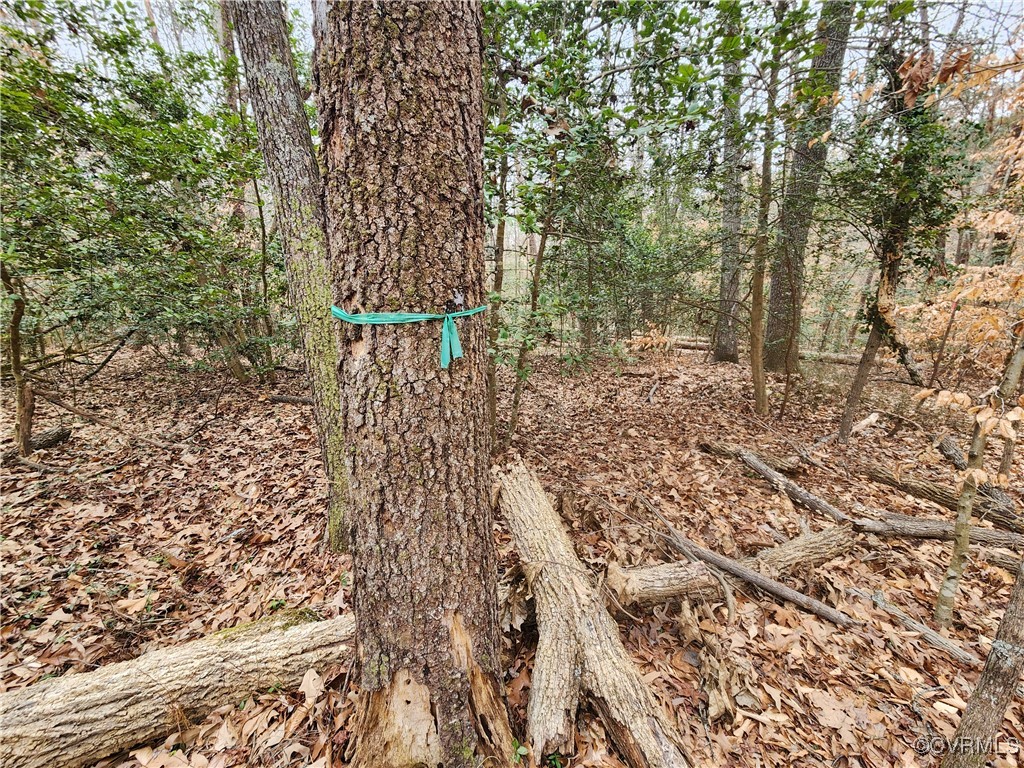 0 Atkinson Road Mineral, VA 23117 - Photo 17 of 17