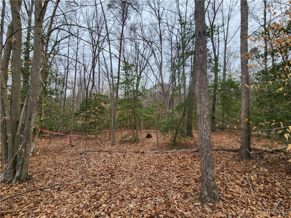 0 Atkinson Road Mineral, VA 23117 - Photo 2 of 17 a backyard of a house with lots of green space