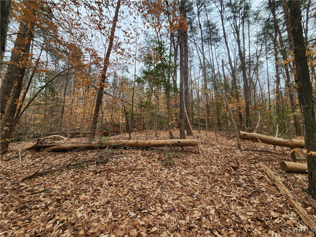 0 Atkinson Road Mineral, VA 23117 - Photo 3 of 17 a view of a backyard