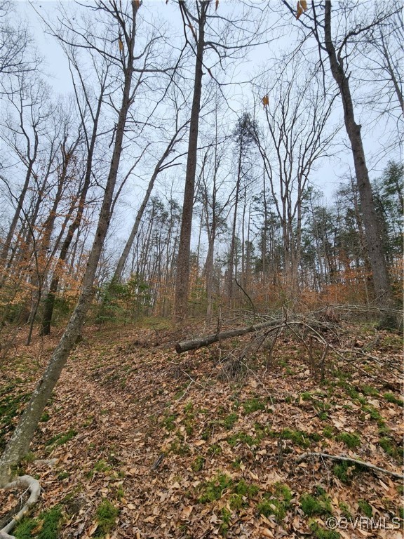 0 Atkinson Road Mineral, VA 23117 - Photo 4 of 17 a view of a backyard of the house