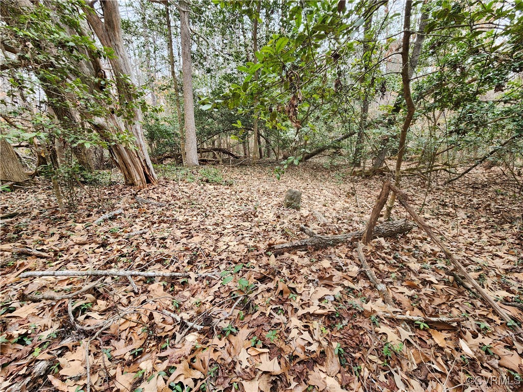 0 Atkinson Road Mineral, VA 23117 - Photo 5 of 17 a view of a yard with plants and trees