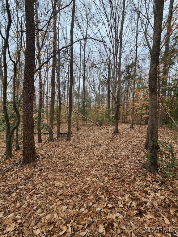 0 Atkinson Road Mineral, VA 23117 - Photo 6 of 17 a view of a yard with trees