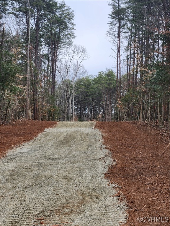 0 Atkinson Road Mineral, VA 23117 - Photo 9 of 17 a view of large space with large trees