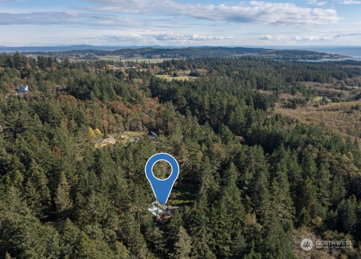 2334 Bailer Hill Road Friday Harbor, WA 98250 - Photo 29 of 30 Gallery Image 29