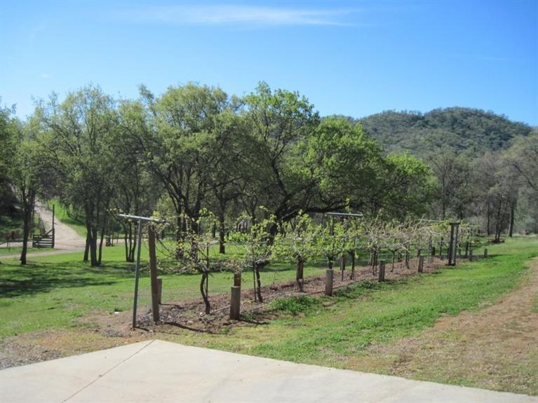 28658 Pittman Hill Road Clovis, CA 93619 - Photo 31 of 36