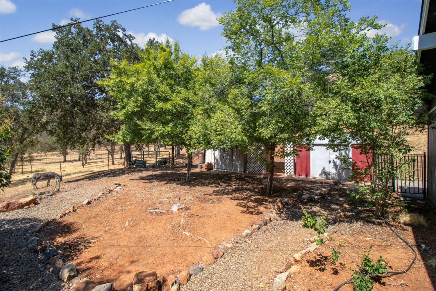 28658 Pittman Hill Road Clovis, CA 93619 - Photo 33 of 36