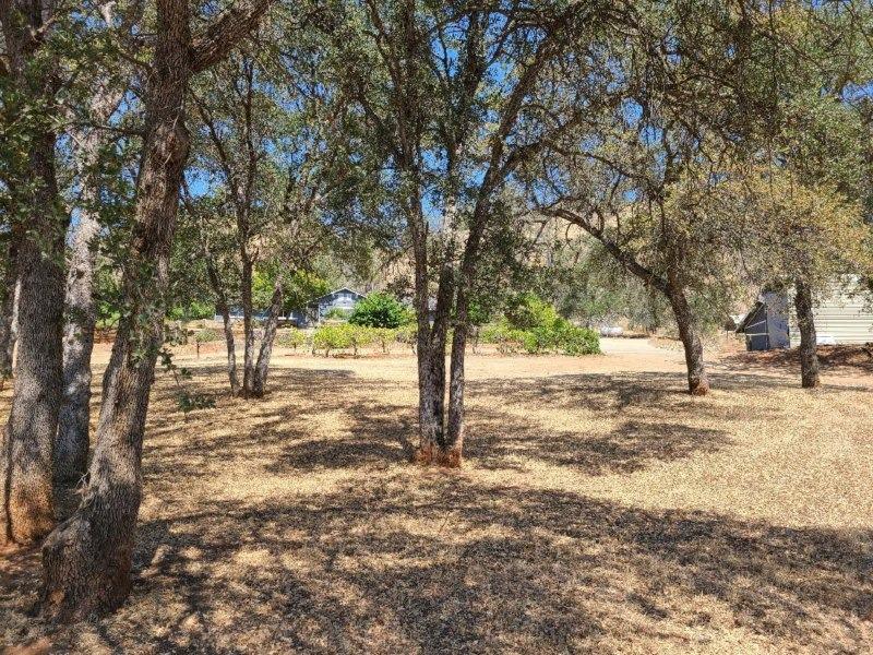 28658 Pittman Hill Road Clovis, CA 93619 - Photo 34 of 36