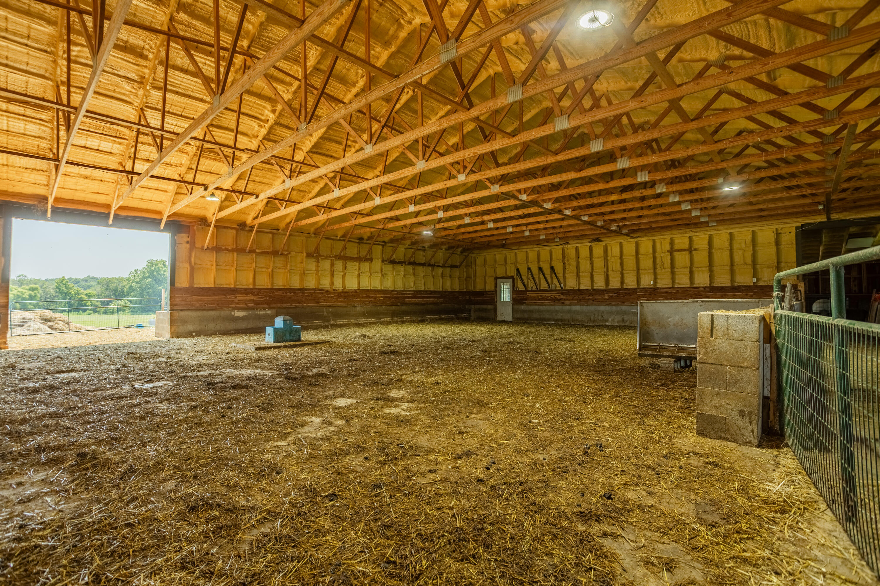 1059 Northeast 100th Road Lamar, MO 64759 - Photo 61 of 119 Barton290(MLSRES)-87