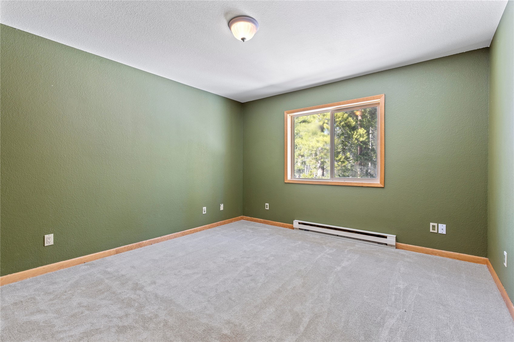 857 Thompson Park Road Fairplay, CO 80440 - Photo 17 of 35 Gallery Image 17
