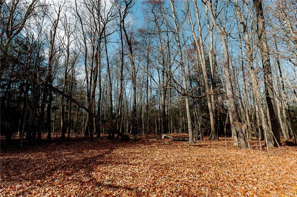 4600 Ridge Road Westover, PA 16692 - Photo 27 of 32