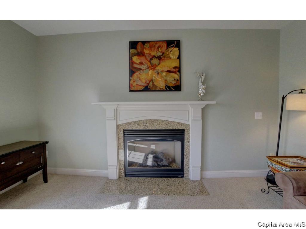 900 Deerfield Road Chatham, IL 62629 - Photo 4 of 18 Gallery Image 4