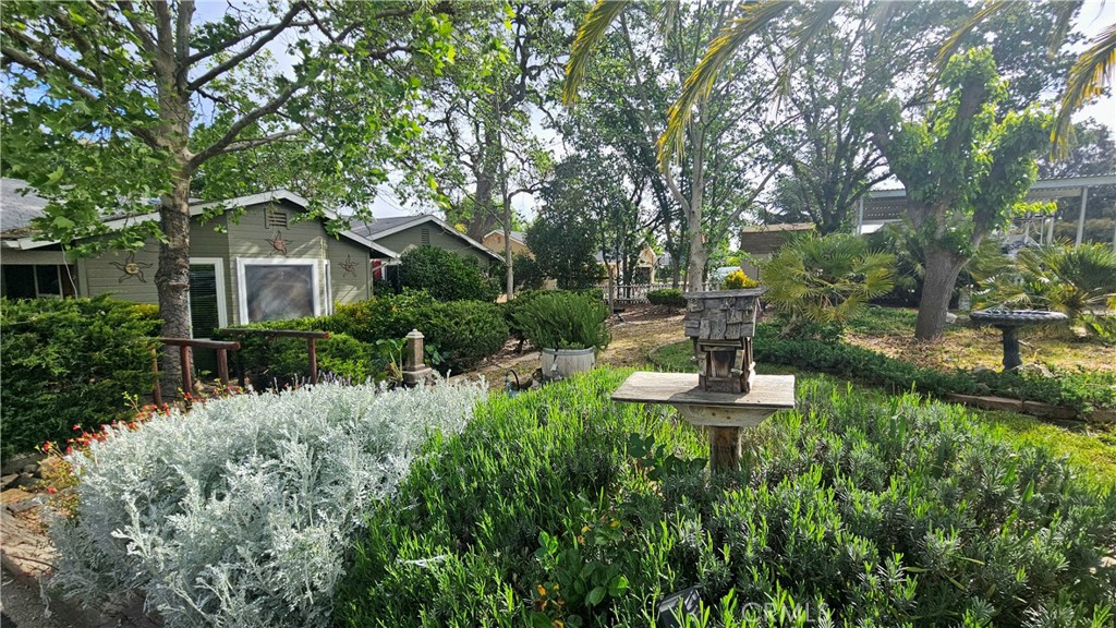 7835 Blue Moon Road Paso Robles, CA 93446 - Photo 4 of 10