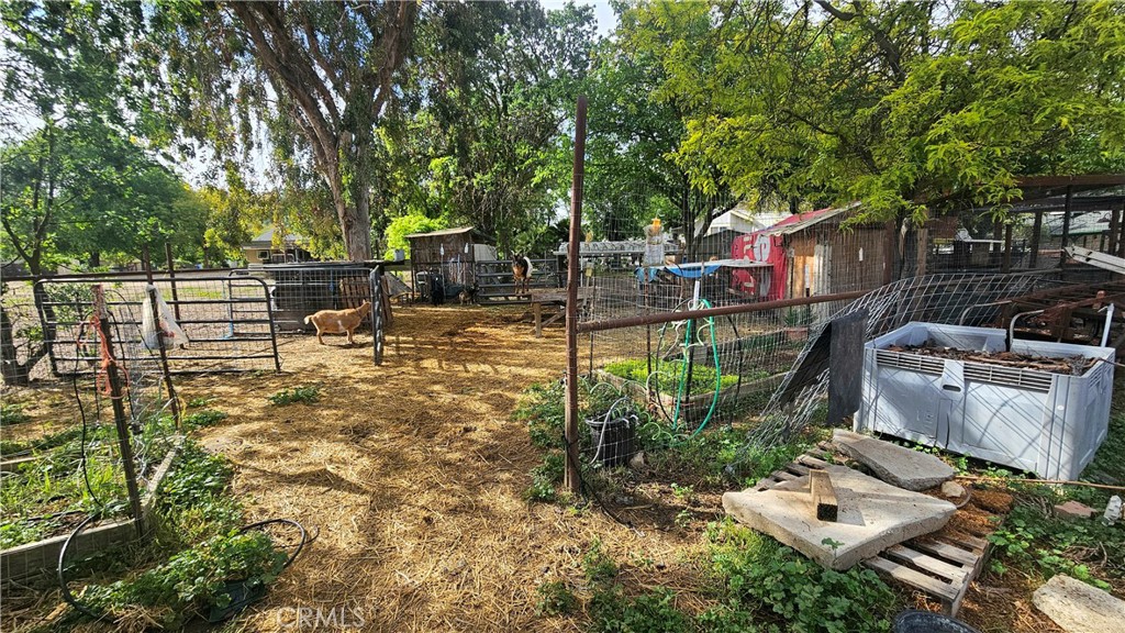 7835 Blue Moon Road Paso Robles, CA 93446 - Photo 5 of 10