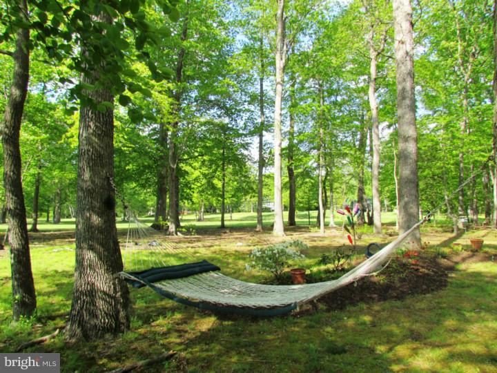 518 Troon Road Dover, DE 19904 - Photo 22 of 24 Back Yard