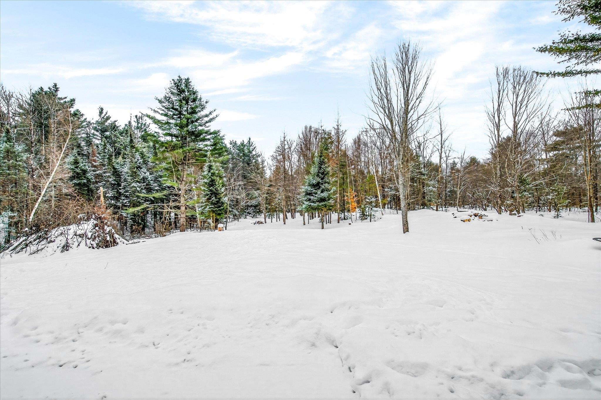 1525 Shunpike Road Mount Holly, VT 05758 - Photo 55 of 60
