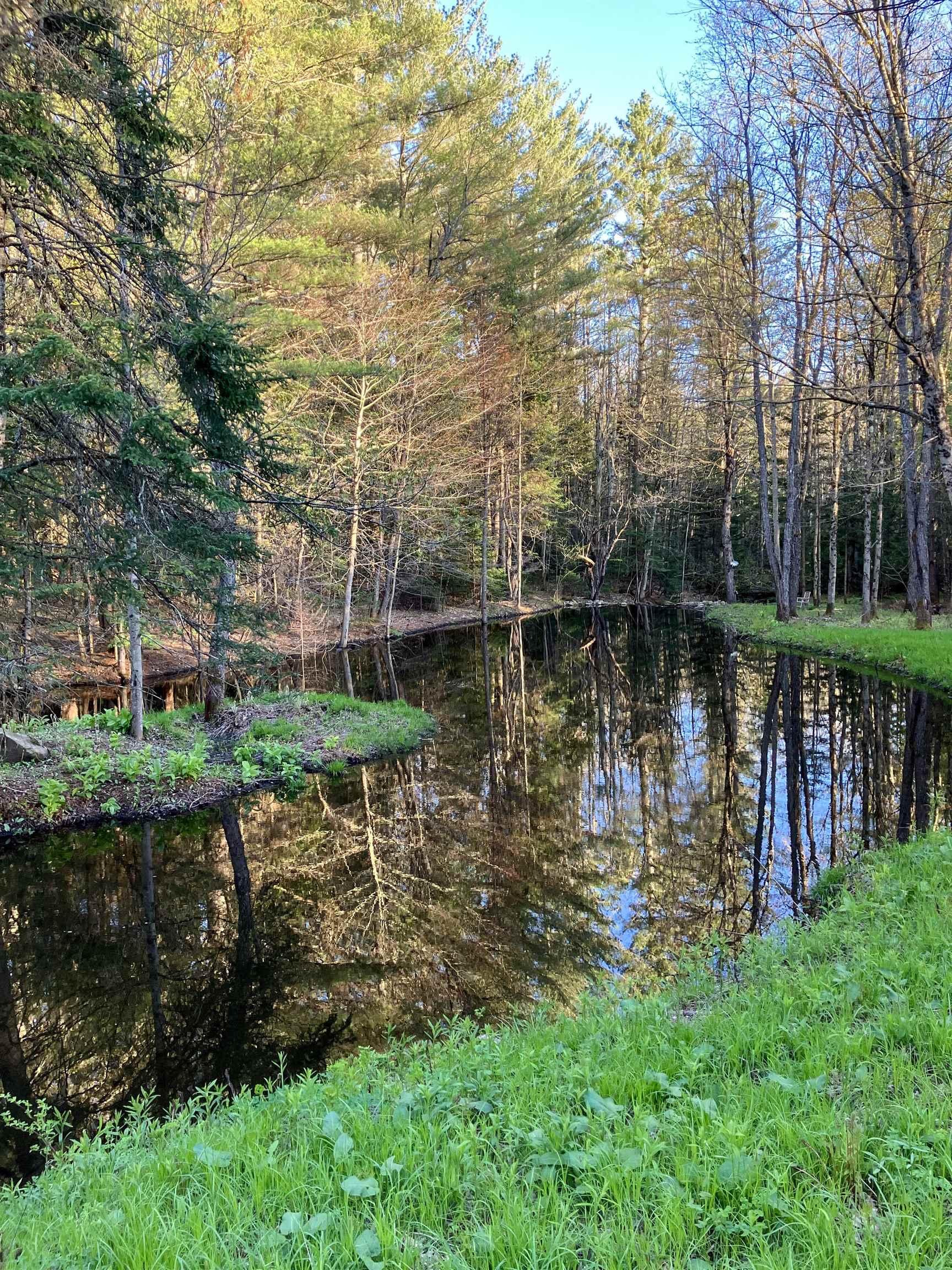 1525 Shunpike Road Mount Holly, VT 05758 - Photo 59 of 60