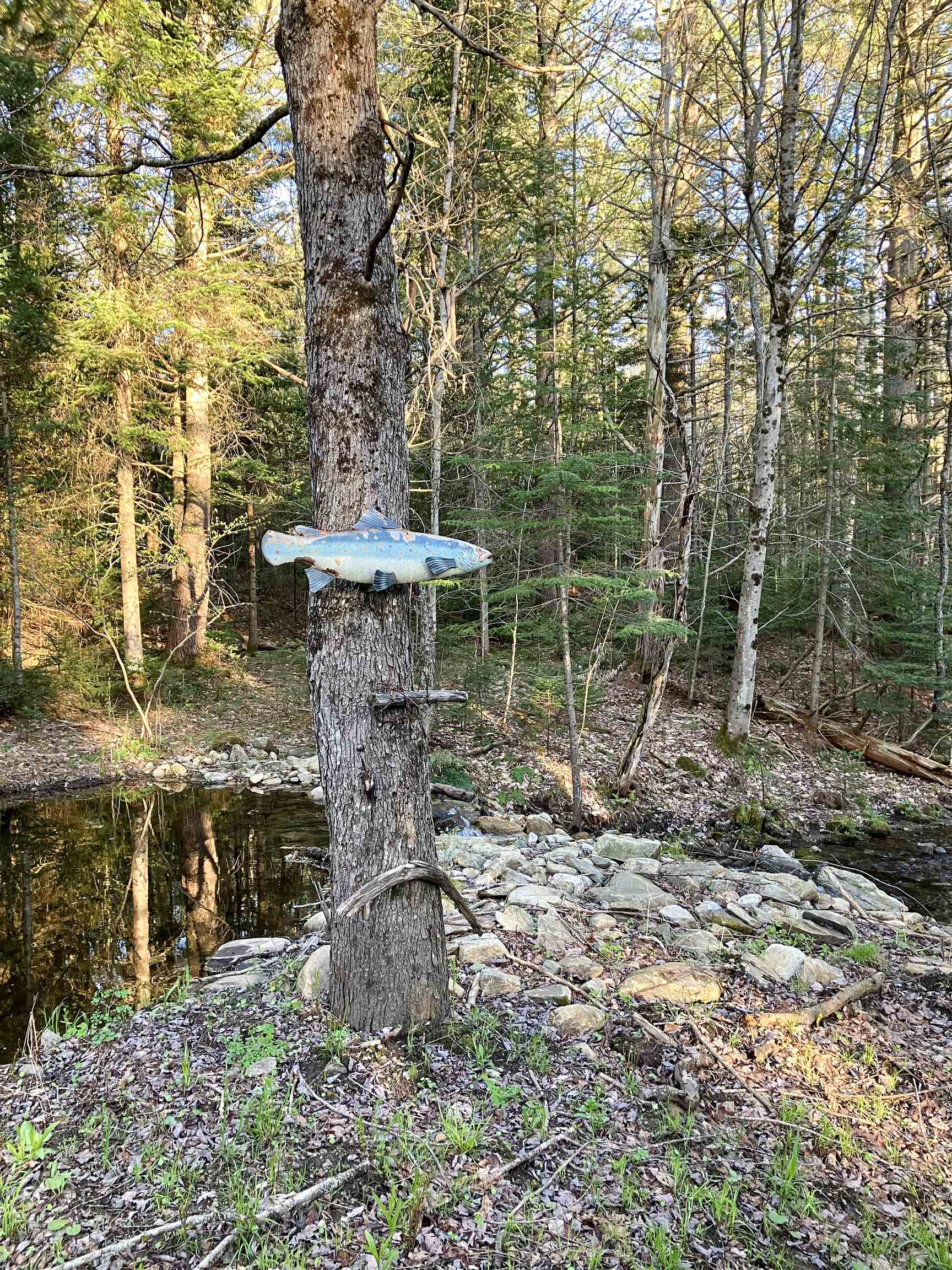 1525 Shunpike Road Mount Holly, VT 05758 - Photo 60 of 60