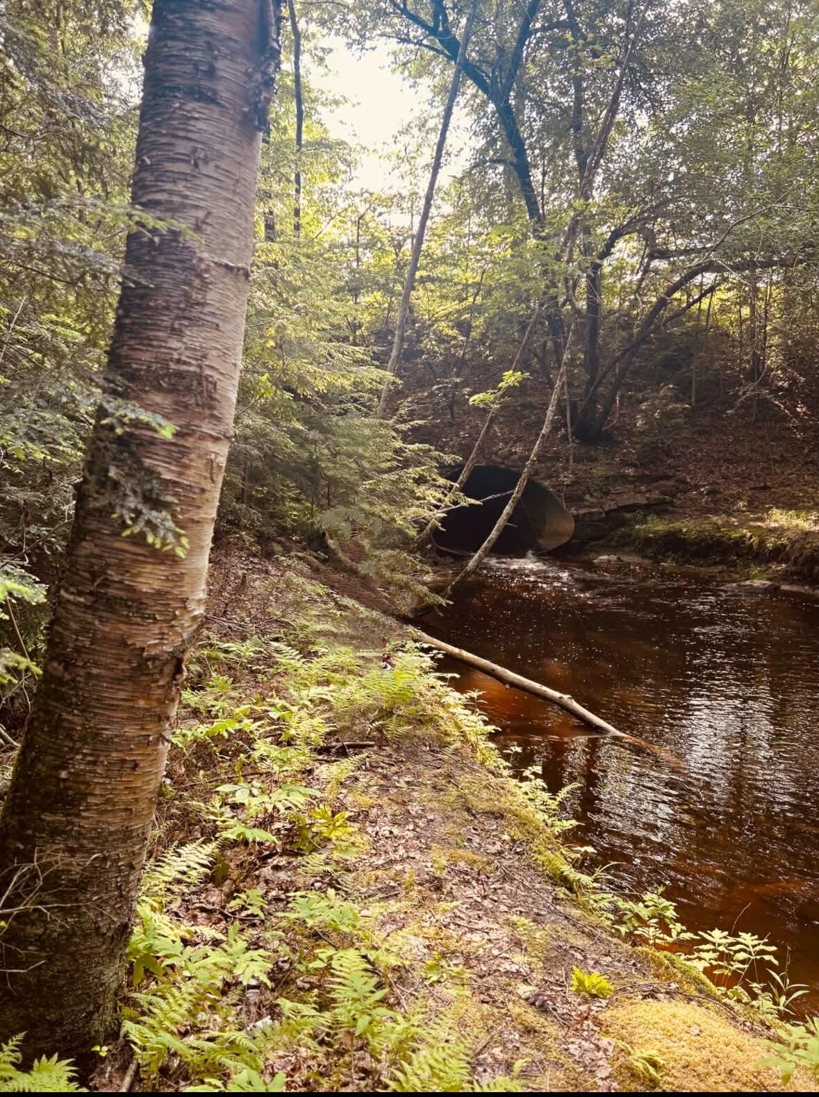 143 Hollis Road Dayton, ME 04005 - Photo 55 of 55 Stream