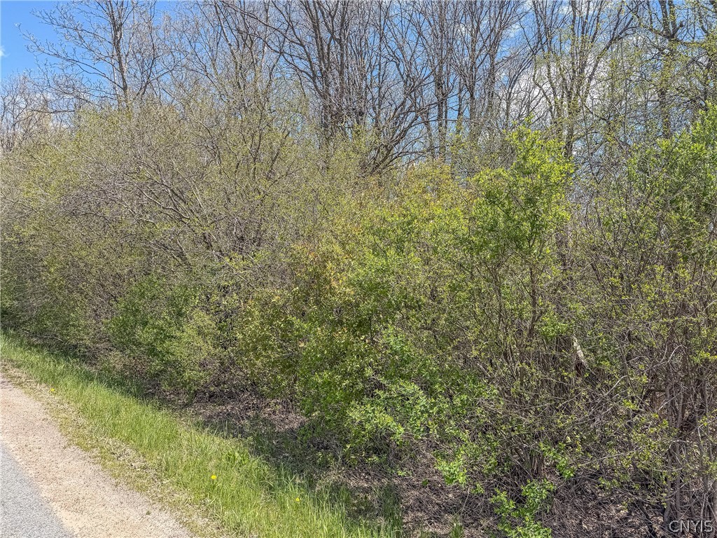 Old Town Springs Road Chaumont, NY 13622 - Photo 9 of 10