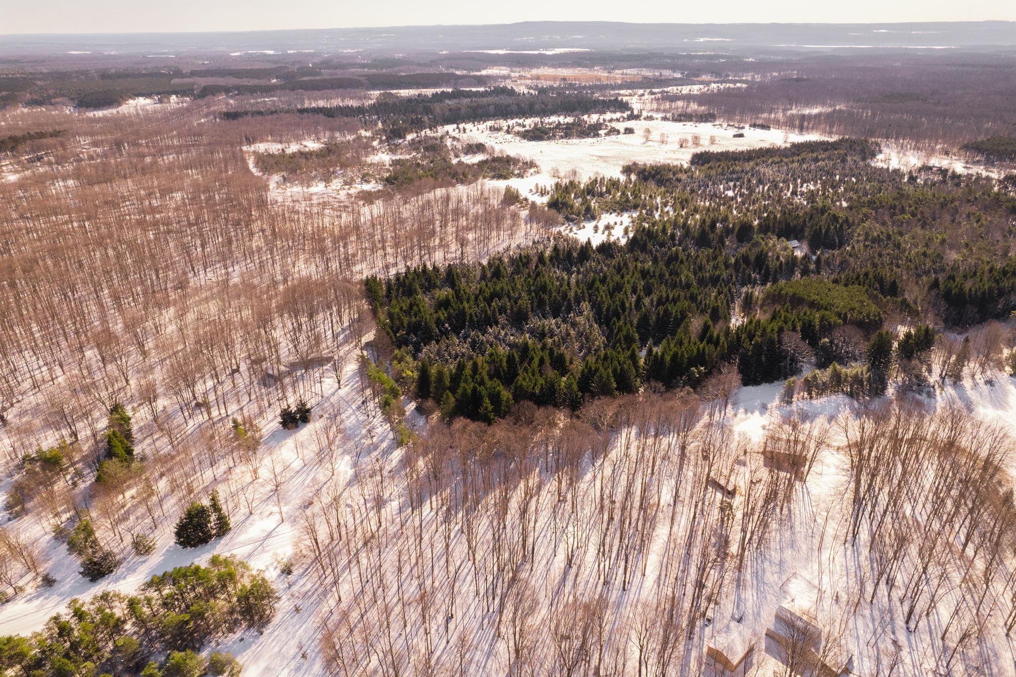 13375 Viaduct Road Copemish, MI 49625 - Photo 7 of 33