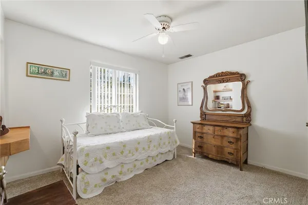 a view of a yard with plants and large trees