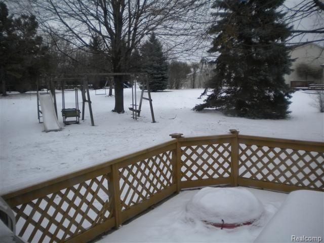 22320 Mill Road Novi, MI 48375 - Photo 5 of 8 DSCN0336 (Small)