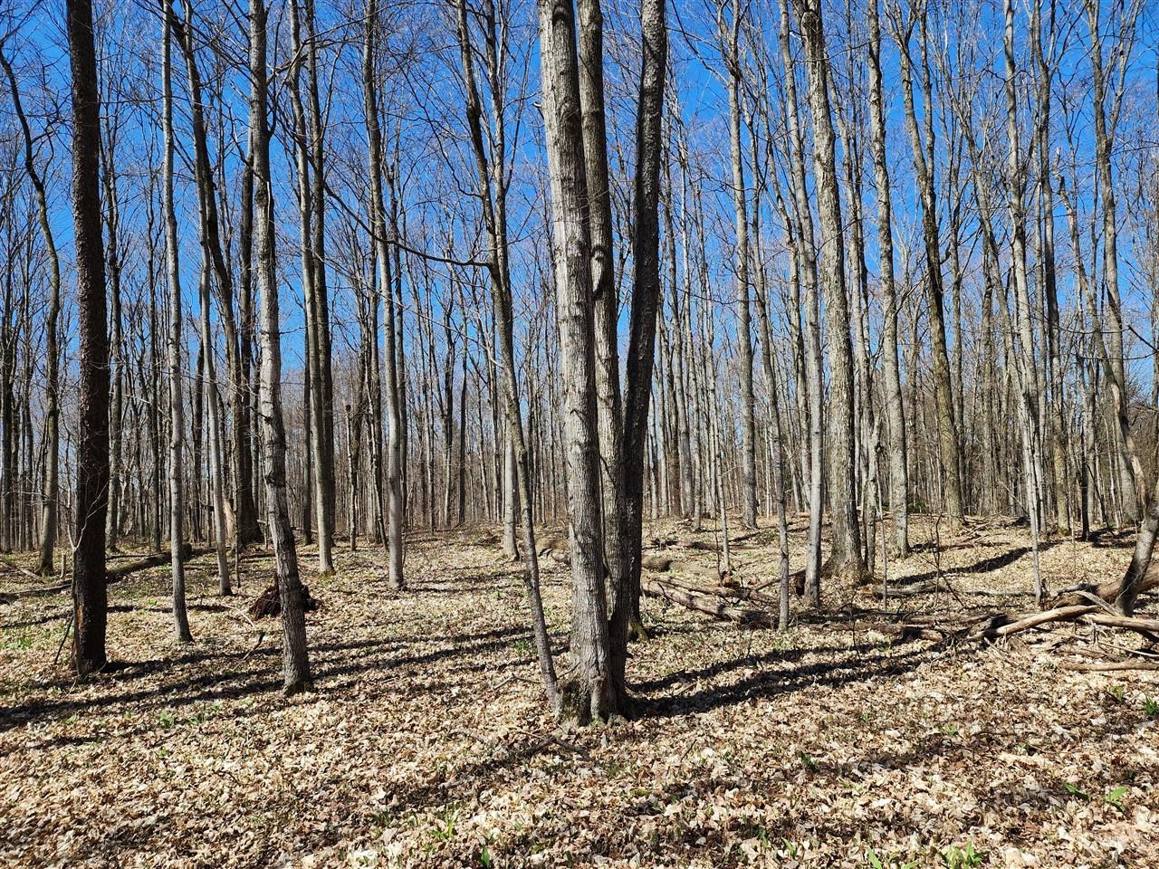 29 Goshawk Ridge Traverse City, MI 49684 - Photo 9 of 21