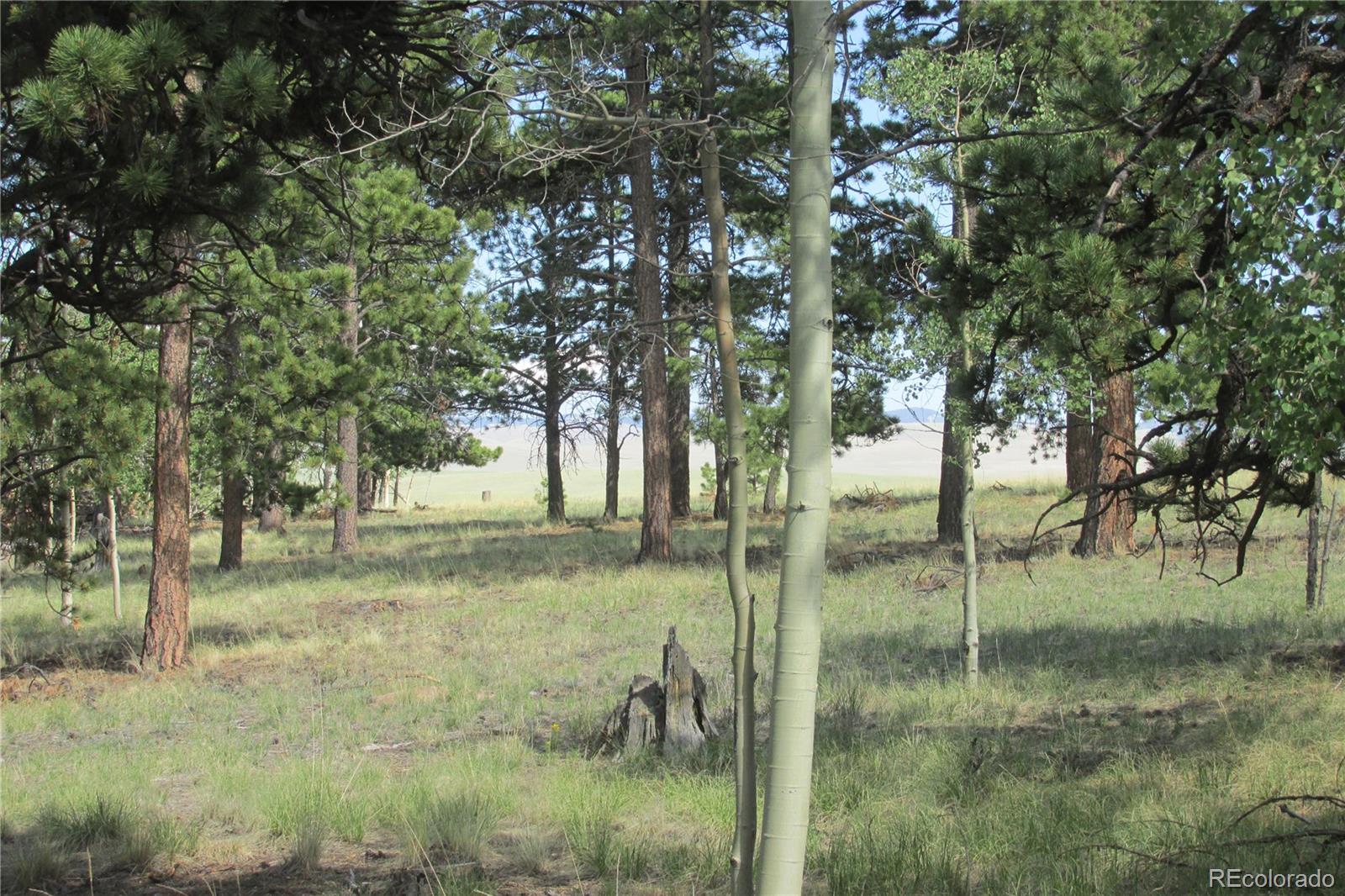 11068 Ranch Road Hartsel, CO 80449 - Photo 1 of 15 Gallery Image 1