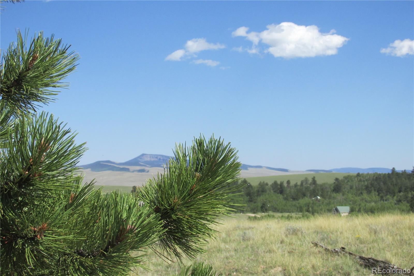 11068 Ranch Road Hartsel, CO 80449 - Photo 2 of 15 Gallery Image 2