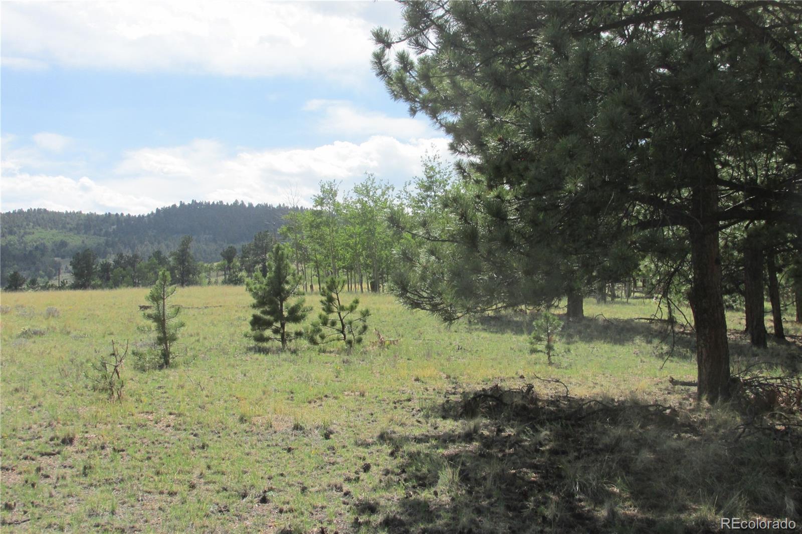 11068 Ranch Road Hartsel, CO 80449 - Photo 3 of 15 Gallery Image 3