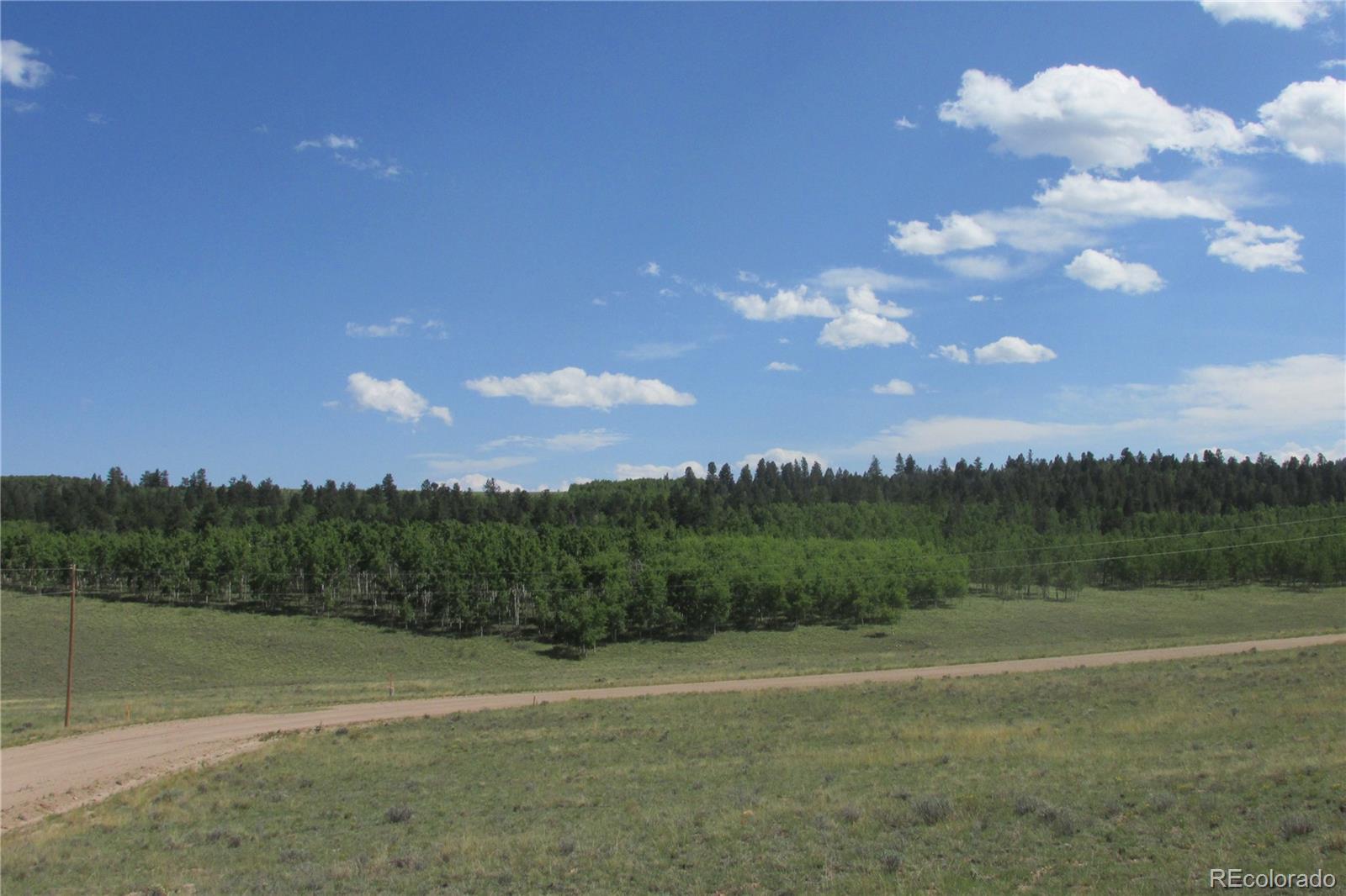 11068 Ranch Road Hartsel, CO 80449 - Photo 5 of 15 Gallery Image 5