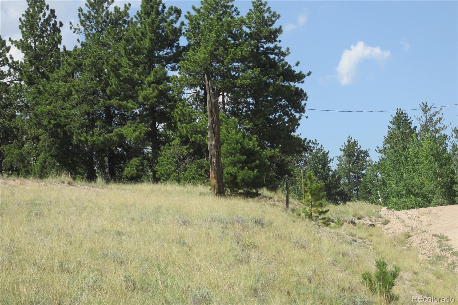 11068 Ranch Road Hartsel, CO 80449 - Photo 6 of 15 Gallery Image 6