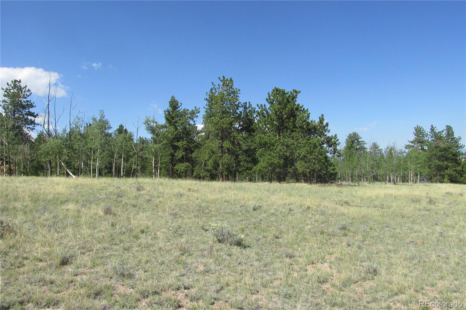 11068 Ranch Road Hartsel, CO 80449 - Photo 7 of 15 Gallery Image 7