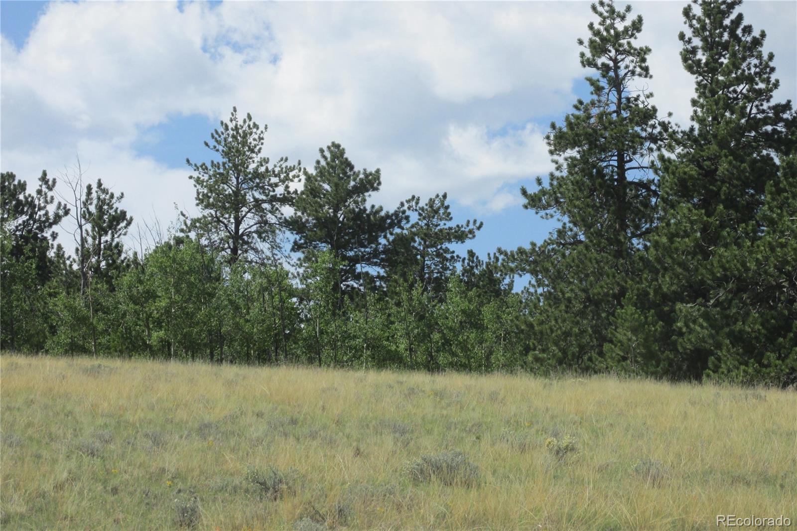 11068 Ranch Road Hartsel, CO 80449 - Photo 9 of 15 Gallery Image 9
