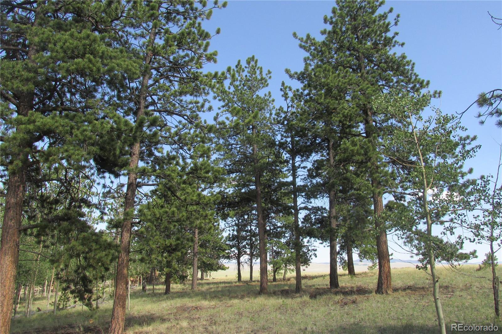 11068 Ranch Road Hartsel, CO 80449 - Photo 10 of 15 Gallery Image 10