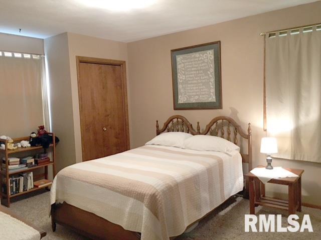 335 Lincoln Road Canton, IL 61520 - Photo 15 of 34 Gallery Image 15