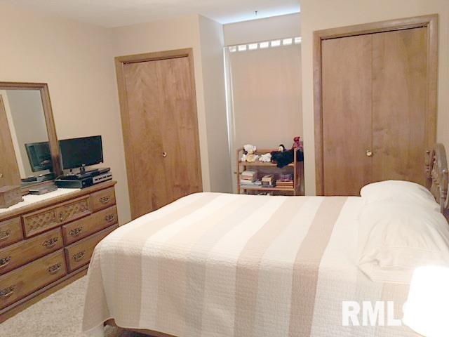 335 Lincoln Road Canton, IL 61520 - Photo 16 of 34 Gallery Image 16