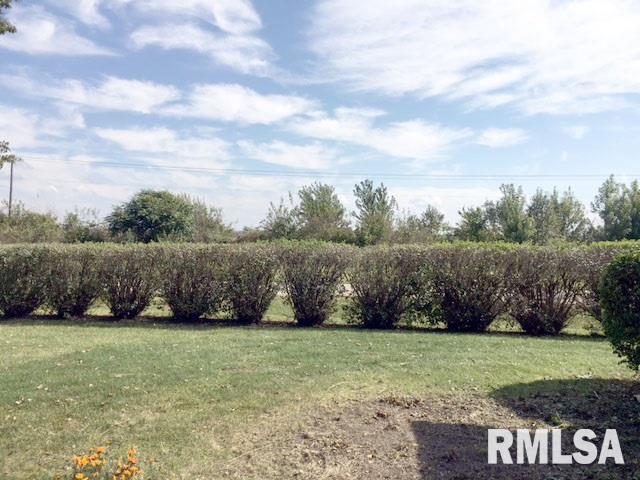335 Lincoln Road Canton, IL 61520 - Photo 33 of 34 Gallery Image 33