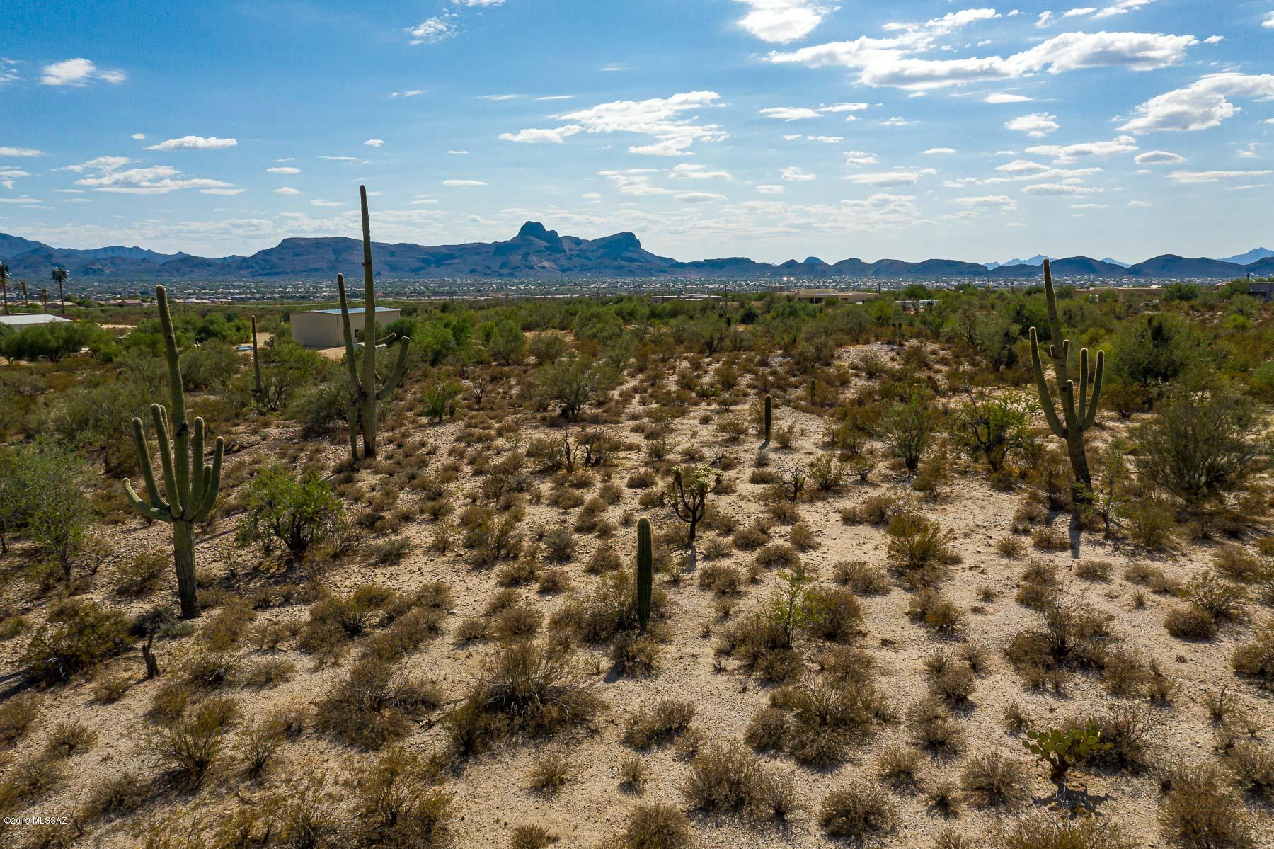 9741 North Blue Bonnet Road Tucson, AZ 85742 - Photo 30 of 46 Gallery Image 30