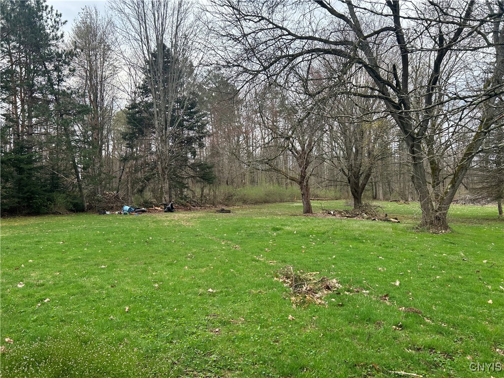 8077 Devaul Road Sullivan, NY 13082 - Photo 2 of 34