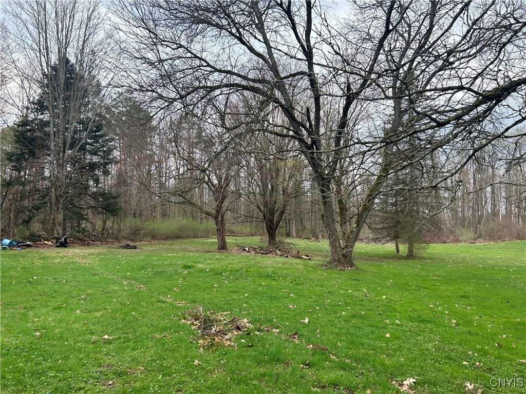 8077 Devaul Road Sullivan, NY 13082 - Photo 30 of 34