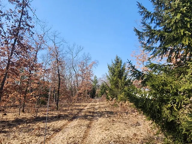 $43,500 | Lot B Jeffers Street, Irons, MI 49644