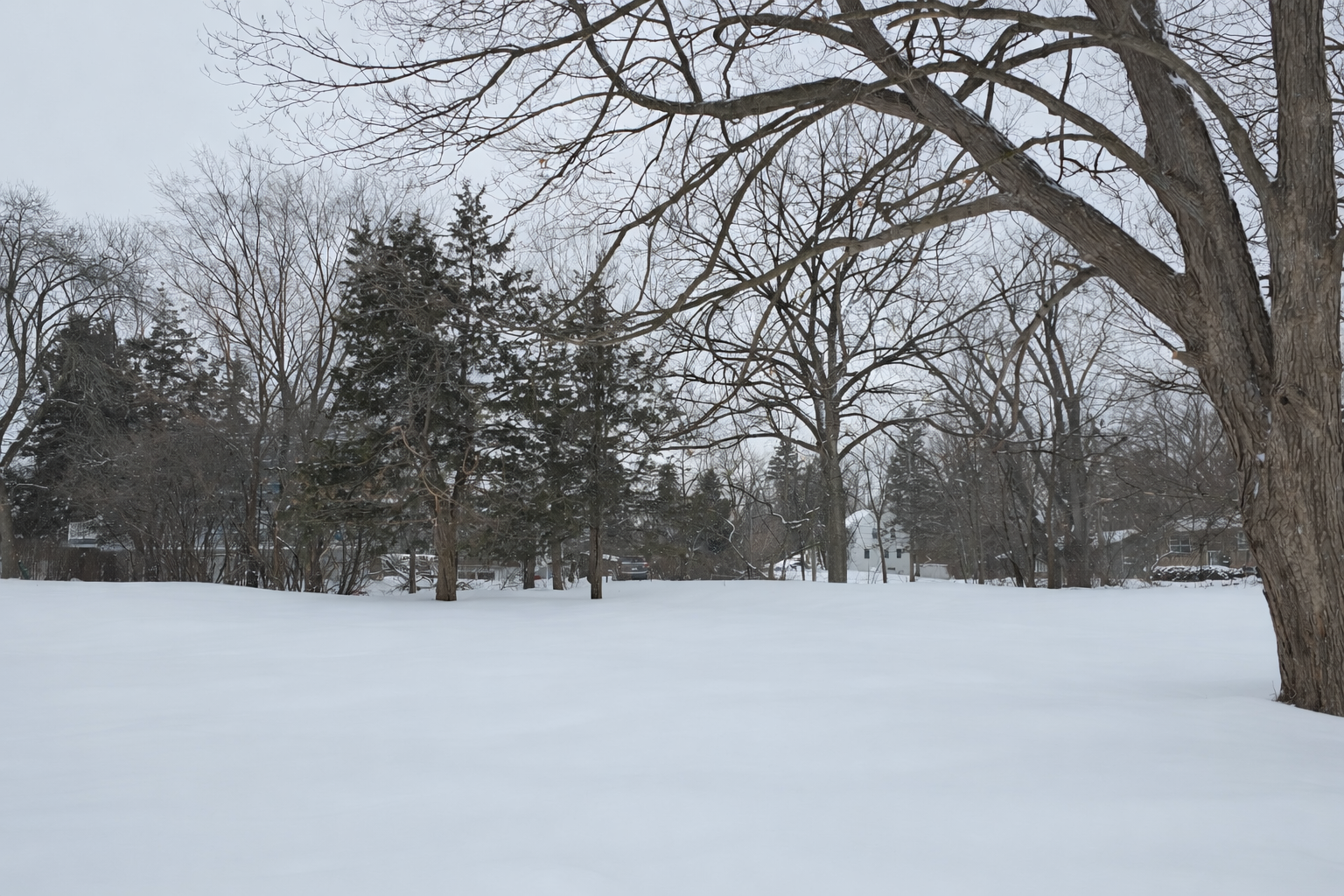 14709 Glendale Road Minnetonka, MN 55345 - Photo 35 of 38