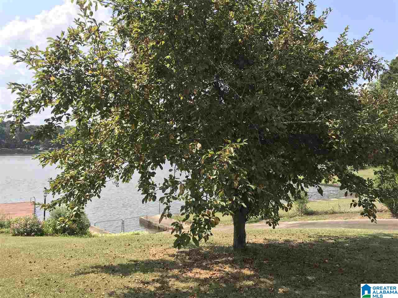 535 Cove Point Drive Riverside, AL 35135 - Photo 43 of 50 Gallery Image 43
