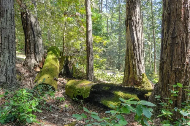 $175,000 | 335 Deerfield Road, The Sea Ranch, CA 95497