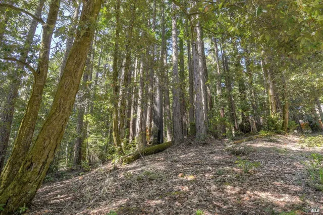 $175,000 | 335 Deerfield Road, The Sea Ranch, CA 95497