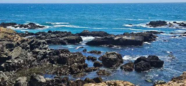 $175,000 | 335 Deerfield Road, The Sea Ranch, CA 95497